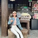 동선체크N