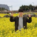 곰솔가든 | 4월 제주도 여행 2박3일 코스 일정 가볼만한 곳 추천