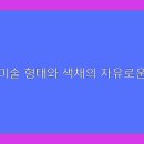 불멸의예술 이미지