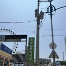 탑골 | 속초 막국수 맛집 탑골막국수 특허 받은 속초 들기름 막국수 들메막 후기 탑골막국수 본점