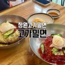 고가밀면 | 창원맛집 / 창원대 맛집으로 유명한 창원 사림동 고가밀면 내돈내산 또간집 후기