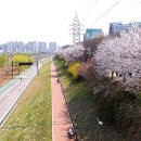 안양천 산책로 이미지