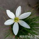 너무 많아졌어요. 이미지