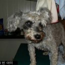 영동대학교 버스정류장 이미지