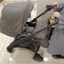 롯데백화점 비비하우스 이미지