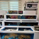 바다수산회 | 오늘 바다 그대로 담은 신선함, 외도 해양호수산회백화점 후기