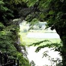 단양-매포-01 | 단양 패러글라이딩 체험 및 가볼만한 단양 여행코스