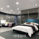 에이스침대 카카오 검색결과