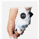 엑스올디자인 이미지