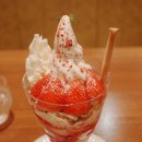 터줏대감 이미지