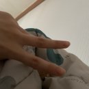 공룡코딱지 노래연습장 이미지