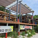 계룡산묵사랑 이미지