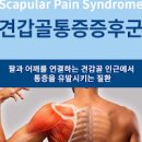 날개뼈 통증으로 의심해 볼 수 있는 질환 3가지 왼쪽 오른쪽 견갑골(어깨) 통증 이미지