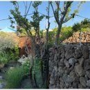 울루와뚜비치하우스 이미지