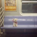 수완초밥 - 7114 | 수완초밥
