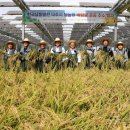 선정1호 태양광발전소 이미지