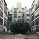 동양맨션아파트 이미지