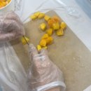 희양중학교 | [스카이교육] - 광양희양중학교 진로직업체험 2025.07.02