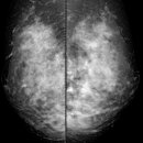 이시경유의원 이미지