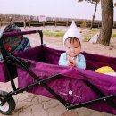 춘장대나드리캠핑장 이미지