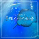 잠실 롯데타워 아쿠아리움 할인 주차정보 주말은 글쎄