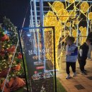 세종특별자치시청 | [세종 여행] 세종 크리스마스 축제, 세종 빛트리 페스티벌 후기(feat. 세종 여행지)