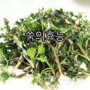 원짐 이미지