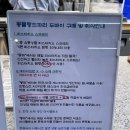 명란 | 대구 동성로 몽블랑드파리 명란바게트 내돈내산 후기