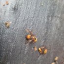 채열농장 이미지