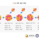 더 복싱(THE BOXING) 이미지