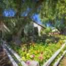 라벤데리아 이미지