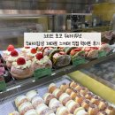노티드 하남 스타필드 | 하남 스타필드 노티드 초코 두바이도넛 솔직 후기 두쫀쿠 막차타기