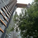 보호수광장 이미지