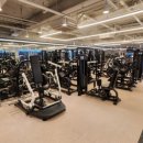 플라이 짐 이미지