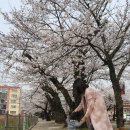 박사수산 이미지