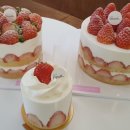 이선농장 이미지