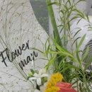호현로489번길 네이버블로그
