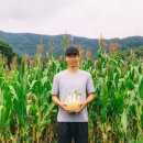 박순호농장 네이버블로그