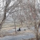 소구월사거리 이미지