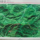 서운 이미지