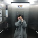 수아레아