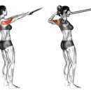 레드핏휘트니스 프리미엄 이미지