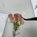 숭실대입구 압화공방 블룸마젤 원데이 클래스 후기(상도 압화공방)