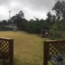 협재블리스 이미지