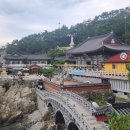 40계단 기념비 | 부산 1박 2일 여행 코스 후기 — 간절곶 일출부터 해동용궁사, 해운대, 이기대 트레킹, 태종대, 스시...