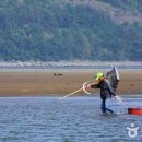 2번국도 미식여행 ③하동~광양 이미지