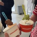 상지분식 | 안동시내 먹거리(아차가, 상지떡볶이, 맘모스베이커리) 내돈내산 추천 후기