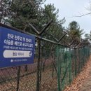 P-6916 네이버블로그
