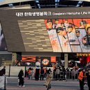 한화 신구장 한화생명 볼파크! 홈개막전 직관 한화vs기아｜먹거리, 굿즈샵, 좌석시야 등