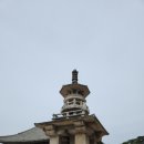 경주여행2 (불국사-환여횟집-상생의손-금장식육식당구황-교동면옥)